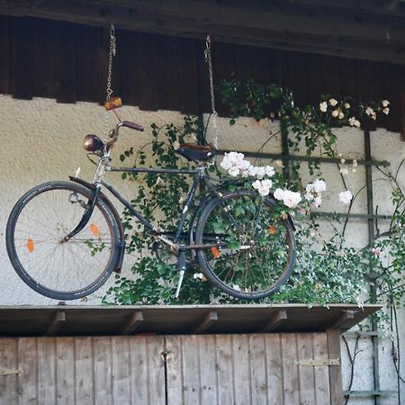 Gartenwohnung Im Gut Sonnenwald Schöllnach Екстериор снимка