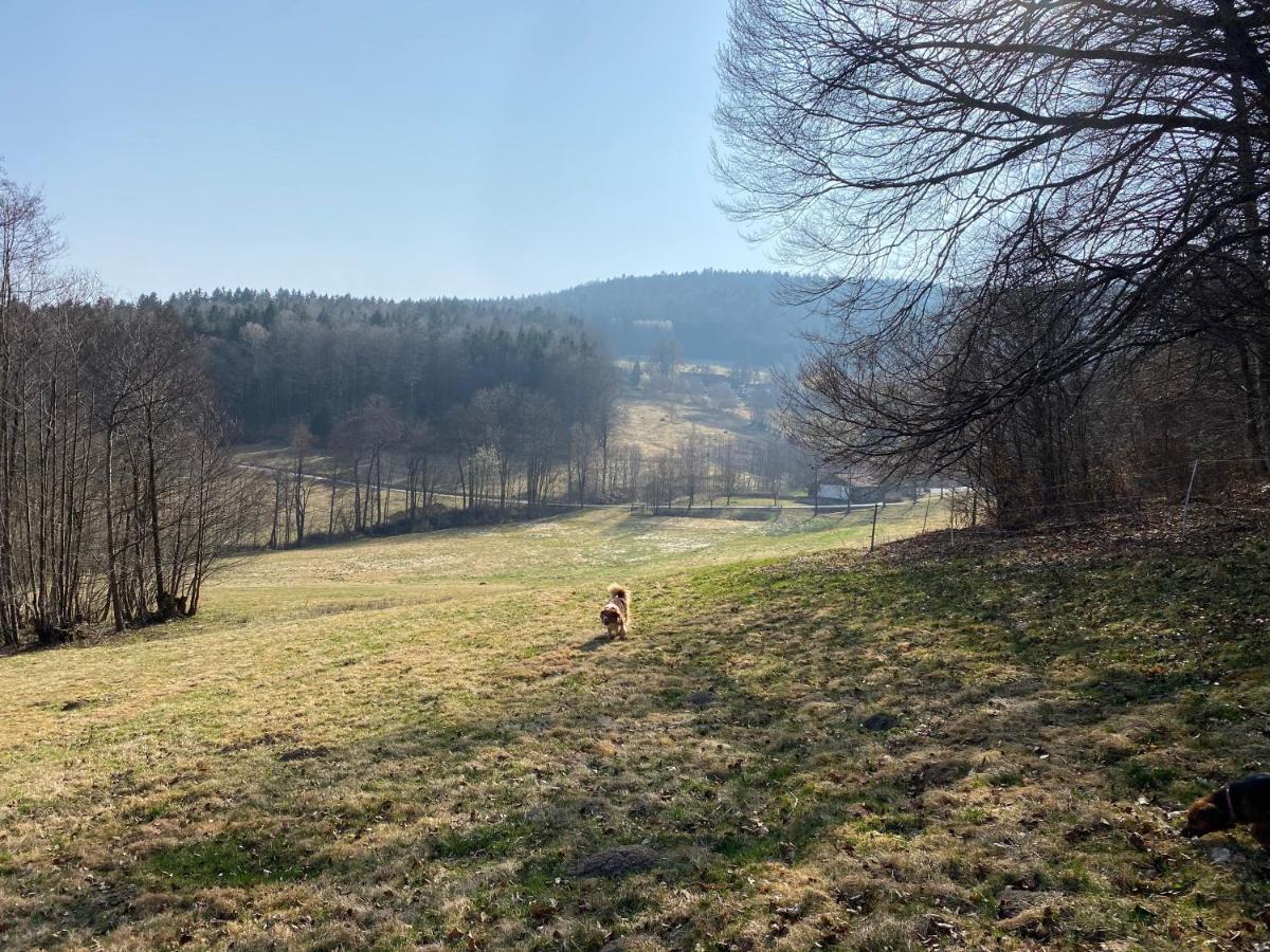 Gartenwohnung Im Gut Sonnenwald Schöllnach Екстериор снимка
