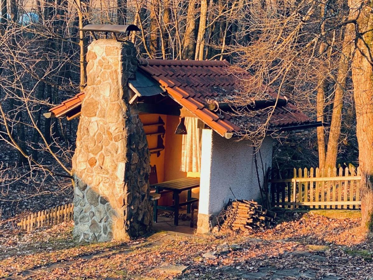 Gartenwohnung Im Gut Sonnenwald Schöllnach Екстериор снимка