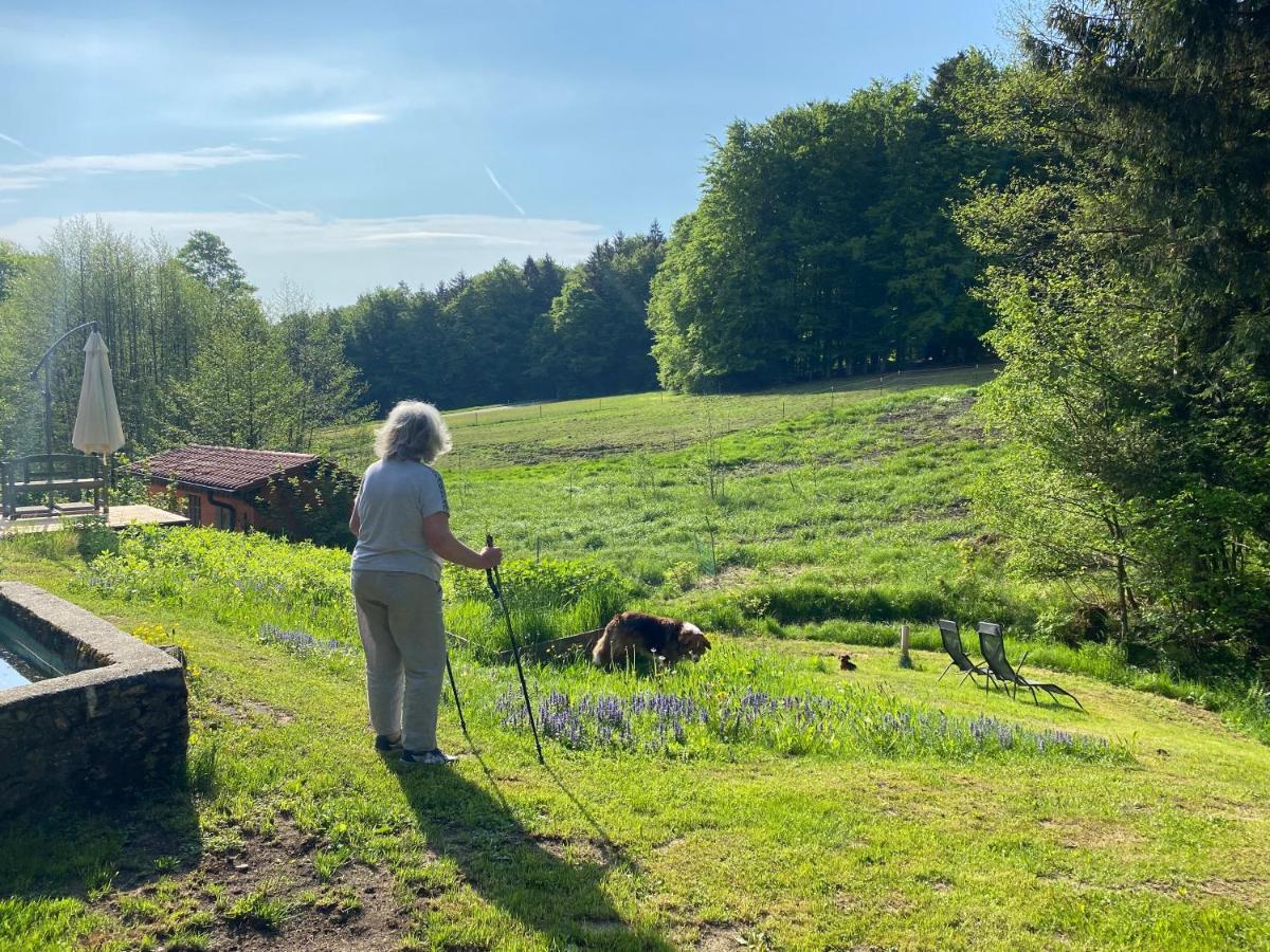 Gartenwohnung Im Gut Sonnenwald Schöllnach Екстериор снимка
